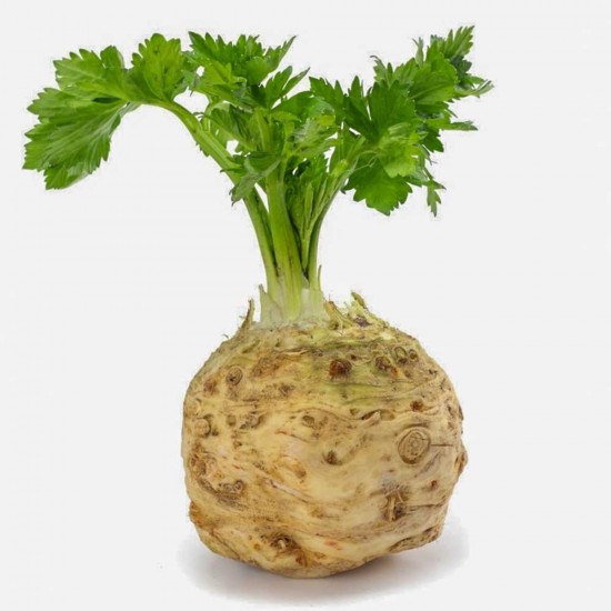 Kereviz Kök Büyük 1 Kg