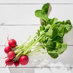 Turp Fındık 1 Bağ