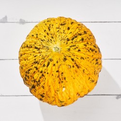 Kavun Ünlü 1 Kg Damlıca Çiftliği