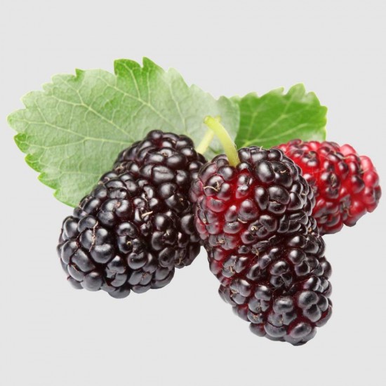 Dut Kara (250 gr/Pkt) 1 Paket