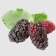 Dut Kara (250 gr/Pkt) 1 Paket
