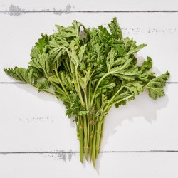 Itır Otu (25 gr/Bağ) 1 Bağ Damlıca Çiftliği