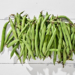 Bakla Sakız 1 Kg