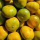 Mandalina 1 Kg