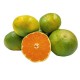 Mandalina 1 Kg