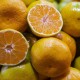 Mandalina 1 Kg