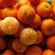 Mandalina 1 Kg