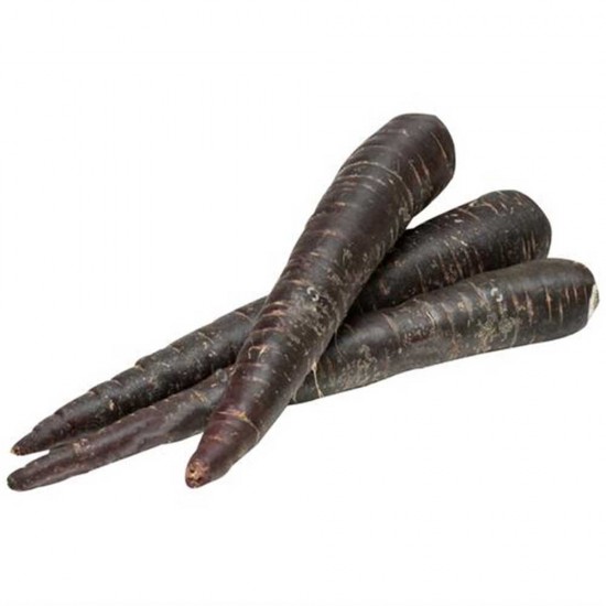 Havuç Siyah (Mor) 1 Kg