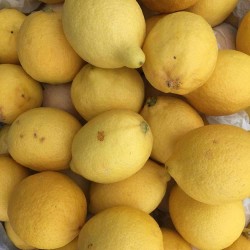 Limon Lamas 1 Kg