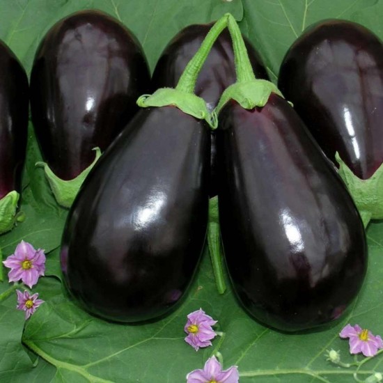 Patlıcan Bostan 1 Kg