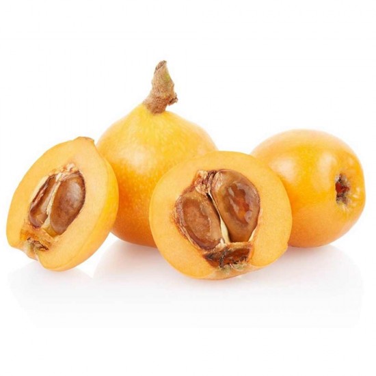 Erik Malta 1 Kg Yeni Dünya