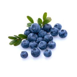 Yaban Mersini Blue Berry Taze (125 gr/Pkt) 1 Paket