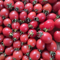 Domates Çeri Kırmızı (10-15 gr/Ad) 1 Kg Cherry