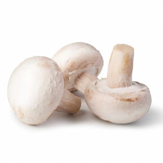 Mantar Kültür 500 gr