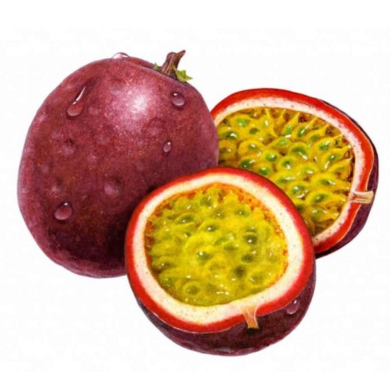 Passion Fruit Meyvesi Çarkıfelek 1 Adet