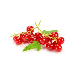 Üzüm Frenk Taze (125 gr/Pkt) 1 Paket