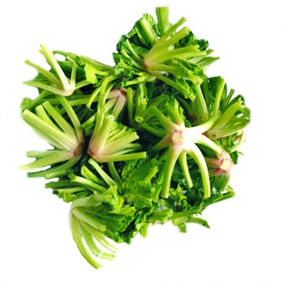 Ispanak Kök 500 gr 1 Paket