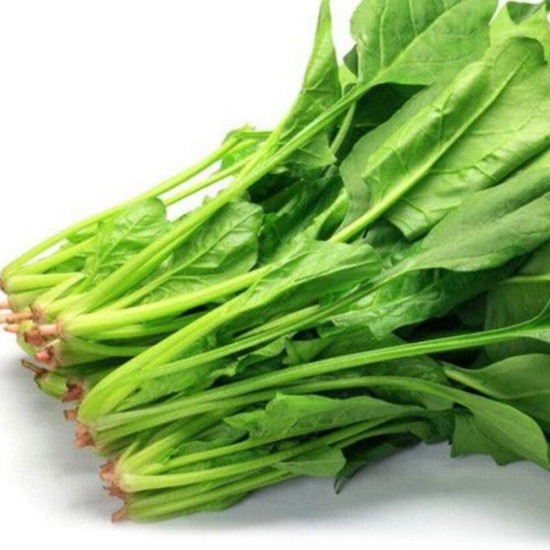 Ispanak Kök 500 gr 1 Paket