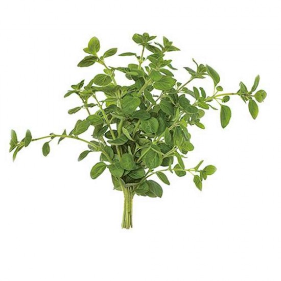 Mercanköşk Majaron Taze 25 gr