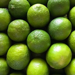 Limon Lime Misket İthal 1 Kg