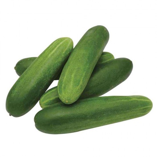 Salatalık Çengelköy 1 Kg Hıyar