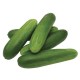 Salatalık Çengelköy 1 Kg Hıyar
