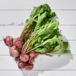 Pancar Hareli (100-150 gr/Ad) Yapraklı 1 Kg Damlıca Çiftliği