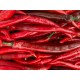 Biber Şili Kırmızı 1 Kg