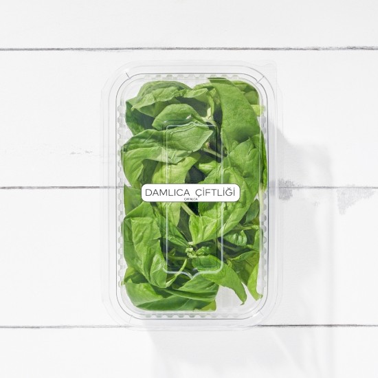 Fesleğen Genovese 25 gr 1 Paket