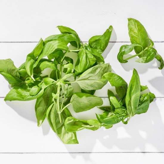 Fesleğen Genovese 25 gr 1 Paket