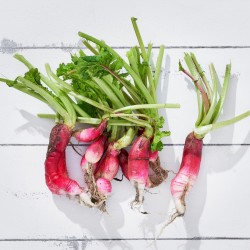 Turp Fransız Kahvaltılık (150 gr/Bağ) 1 Bağ