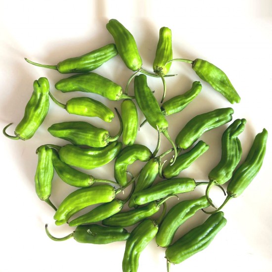 Biber Shishito 500 gr