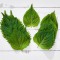 Biftek Otu Shiso Yeşil 20 Yaprak 1 Paket