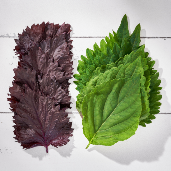 Biftek Otu Shiso Karışık 20 Yaprak 1 Paket