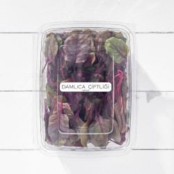 Pancar Yaprağı Kırmızı (150 gr/Pkt) 1 Paket