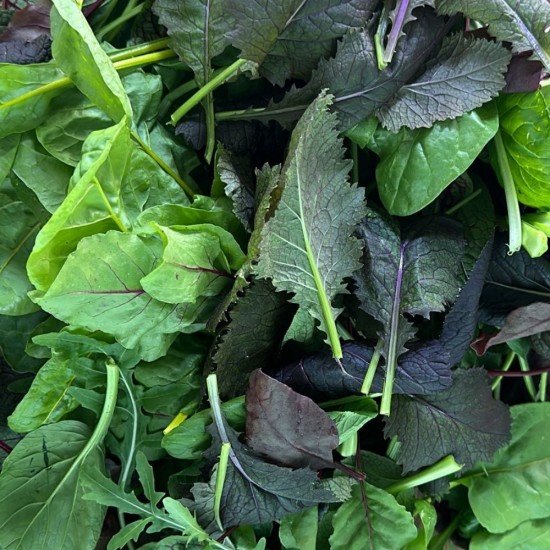 Maskolin Taze Yeşillik (250 gr/Pkt) 1 Paket