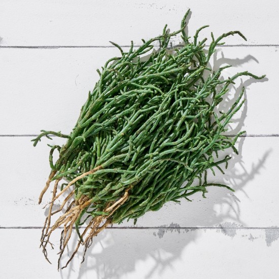 Deniz Börülcesi 1 Kg