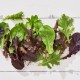 Salata Karışık Çıtır Baby Marul 150 gr 1 Paket