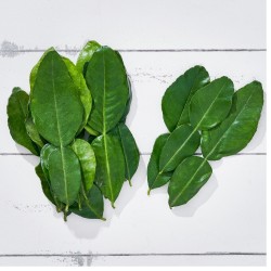 Yaprak Kafir Lime 50 g 1 Paket