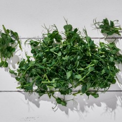 Mikrofiliz Bezelye (45 gr/Pkt) 1 Paket Mikrofiliz Bezelye (45 gr/Pkt) 1 Paket