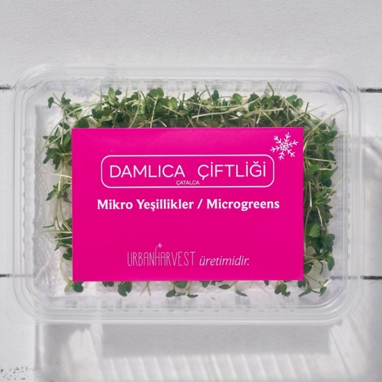 Mikrofiliz Hardal Dijon (15 gr/Pkt) 1 Paket