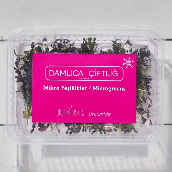 Mikrofiliz Hardal Kırmızı Kıvırcık (12 gr/Pkt) 1 Paket