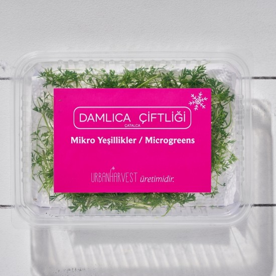 Mikrofiliz Havuç (15 gr/Pkt) 1 Paket