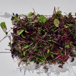 Mikrofiliz Micromix Kırmızı 500 cc