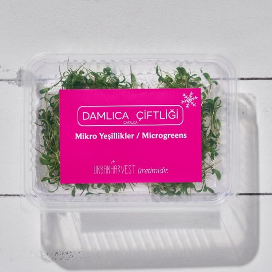 Mikrofiliz Tere 1 paket 13 gr