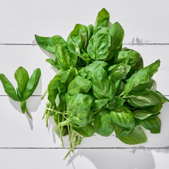 Fesleğen 100 gr 1 Paket