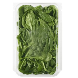 Ispanak Baby 150 gr 1 Paket