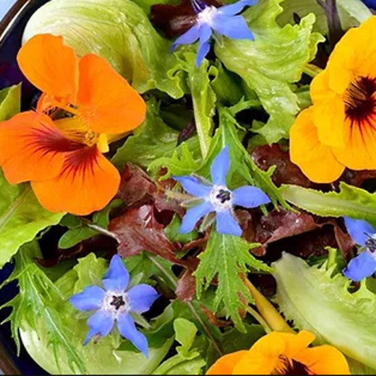 Çiçek Yenilebilir Menekşe Turuncu 30 Adet 1 Paket