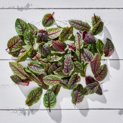 Kuzukulağı Kırmızı Mini Yaprak 3-4 cm (50 Ad/Pk) 1 Paket