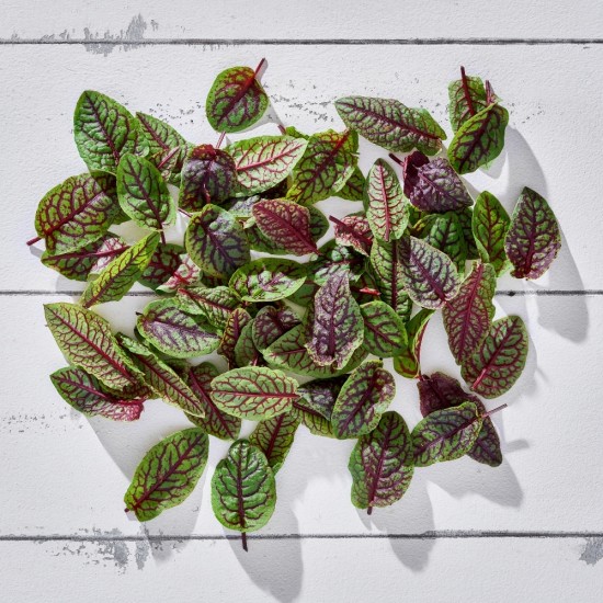 Kuzukulağı Kırmızı Mini Yaprak 3-4 cm (50 Ad/Pk) 1 Paket